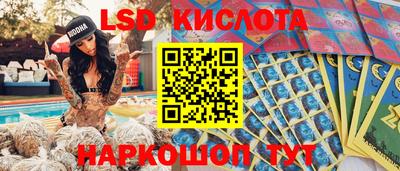 гашик Шебекино