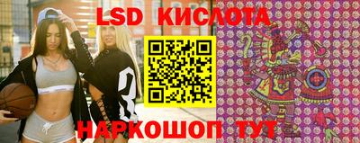 гашик Шебекино