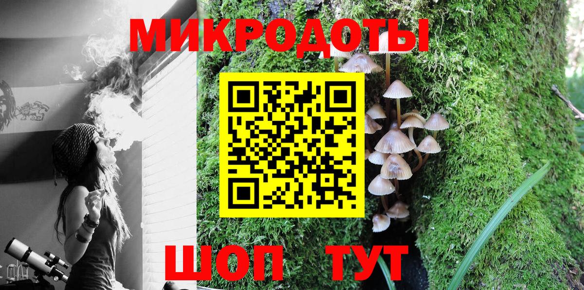 наркотики  Галлюциногенные грибы Psilocybine cubensis  Вход с VPN  Псилоцибиновые грибы ЛСД  Великий Новгород 