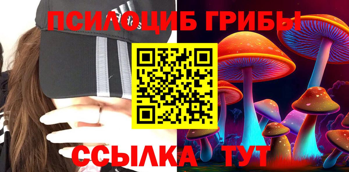 Псилоцибиновые грибы Psilocybe Великий Новгород
